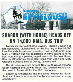 1980 - 12 Dec - Australian Appaloosa News 1240x900
