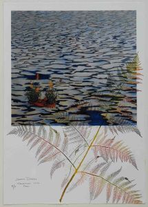 2004 Transitions With A Fern Silk Screen And Relief On Print